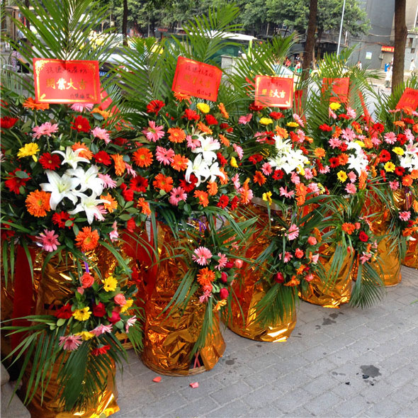 開業(yè)花籃D款(單個(gè))